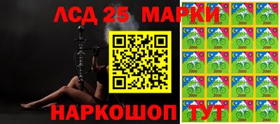 бошки Можга