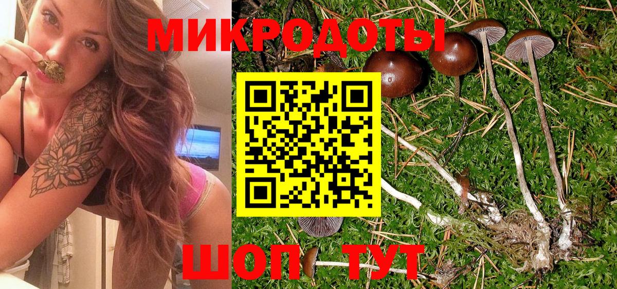 Галлюциногенные грибы Cubensis Советская Гавань