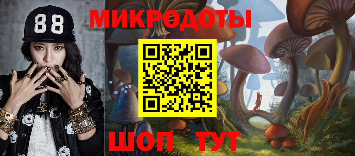 купить наркоту  Псилоцибиновые грибы Cubensis  Вход с VPN  Советская Гавань 